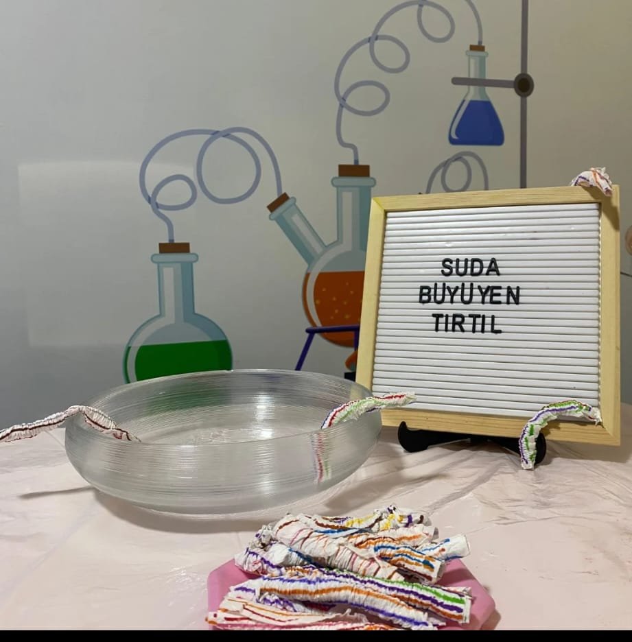 Suda Büyüyen Tırtıl — Fen Deneyi